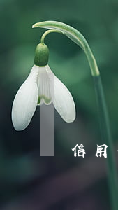 信用卡本月已逾期將報送