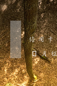 信用卡本月逾期 信用卡本月逾期本月還了 下個月征信會更新嗎