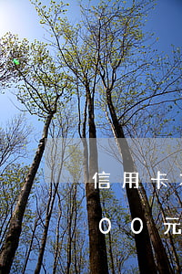 信用卡本金13000逾期3年 信用卡8000元逾期2年