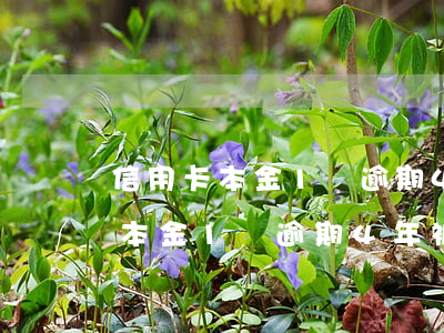 信用卡本金1萬逾期4年被起訴了-信用卡本金1萬逾期4年被起訴了怎么辦