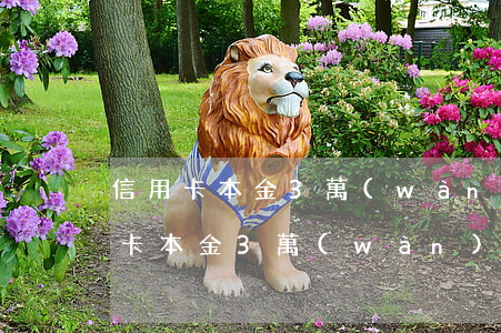 信用卡本金3萬(wàn)逾期7年后 信用卡本金3萬(wàn)逾期7年后會(huì)怎樣