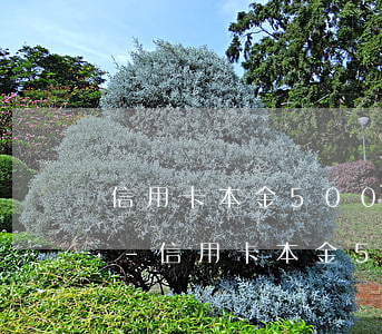 信用卡本金5000逾期3年呆滯金是多少-信用卡本金5000逾期3年呆滯金是多少錢