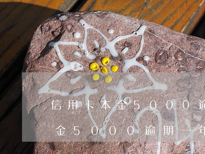 信用卡本金5000逾期一年了-信用卡本金5000逾期一年了會怎么樣