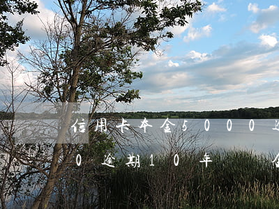 信用卡本金5000逾期(信用卡本金5000逾期10年違約金多少錢)