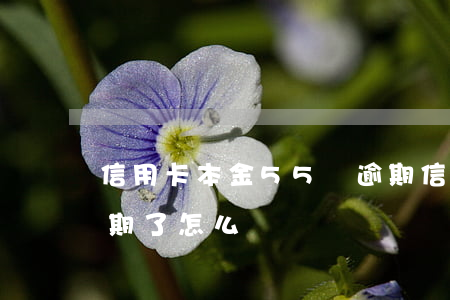信用卡本金55萬逾期(信用卡本金55萬逾期了怎么還)