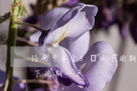 信用卡本金5萬以下逾期(信用卡本金5萬以下逾期一天)