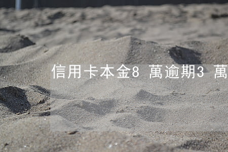 信用卡本金8萬逾期3萬(信用卡逾期9萬)