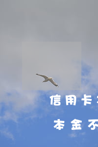信用卡本金不足五萬逾期怎么解決-信用卡本金不足五萬逾期怎么解決的