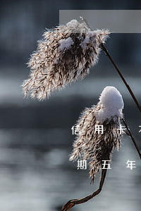 信用卡本金五千逾期兩年(信用卡5000逾期五年)
