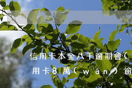 信用卡本金八千逾期會(huì)起訴嗎(信用卡8萬(wàn)逾期了會(huì)怎么樣)
