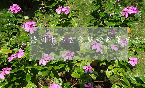 信用卡本金分期的政策(本金分期還款)