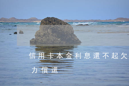 信用卡本金利息還不起(欠信用卡利息太大無力償還)