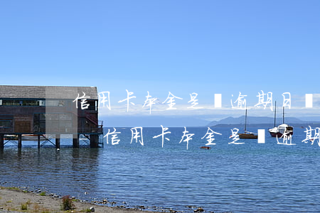 信用卡本金是從逾期日開始計(jì)算嗎-信用卡本金是從逾期日開始計(jì)算嗎