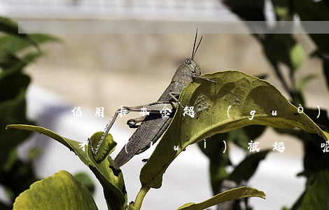 信用卡本金超過(guò)5萬(wàn)才會(huì)被起訴呢-信用卡本金超過(guò)5萬(wàn)才會(huì)被起訴呢怎么辦