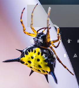 信用卡本金超過五萬逾期了怎么辦-信用卡本金超過五萬逾期了怎么辦呢