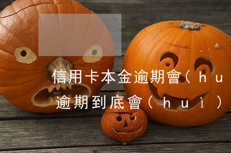 信用卡本金逾期會(huì)坐牢嗎(信用卡逾期到底會(huì)不會(huì)坐牢)