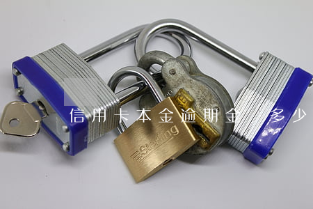 信用卡本金逾期金額多少(信用卡逾期還多少錢)