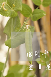 信用卡本金逾期金額是指-信用卡本金逾期金額是指利息嗎