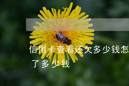 信用卡查看还欠多少钱(怎么查信用卡一共还了多少钱)