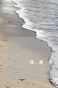 信用卡查詢征信(信用卡查詢征信有影響嗎)