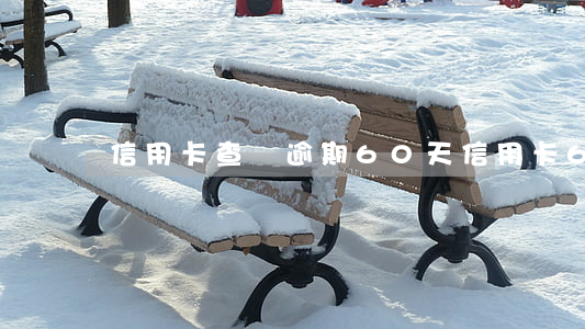 信用卡查詢逾期60天(信用卡6個月逾期)