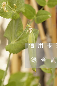 信用卡查詢逾期情況-怎么查信用卡逾期記錄查詢具體時間