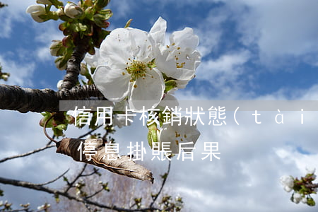 信用卡核銷狀態(tài)停息掛賬(信用卡停息掛賬后果)