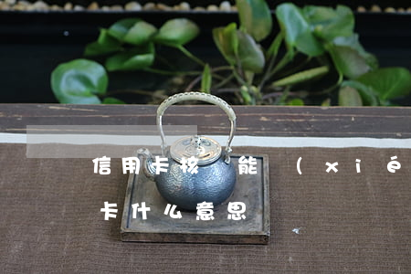 信用卡核銷能協(xié)商嗎(核銷的信用卡什么意思)