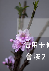 信用卡條款上有還不上要坐牢嗎-欠信用卡會按266條刑法