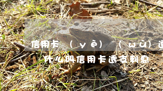 信用卡業(yè)務(wù)透支貸款利息為(什么叫信用卡透支利息)