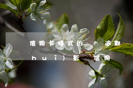 信用卡模式的車貸逾期(車貸款逾期一天會(huì)影響信用嗎)
