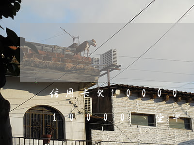 信用卡欠10000會被立案嗎-欠信用卡10000會坐牢嗎