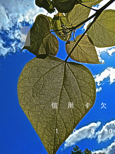 信用卡欠1000逾期5個月了-信用卡欠1000逾期5個月了
