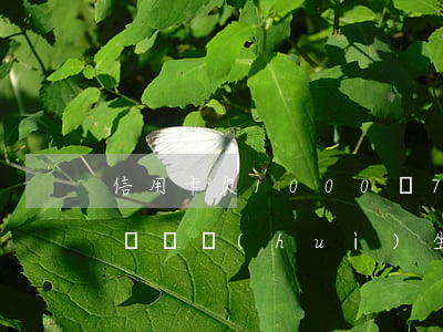 信用卡欠1000還700(欠信用卡一千多塊錢會(huì)坐牢嗎)