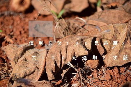 信用卡欠100元逾期2次嚴重不-信用卡欠100元逾期2次嚴重不影響征信