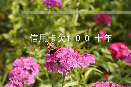 信用卡欠100十年