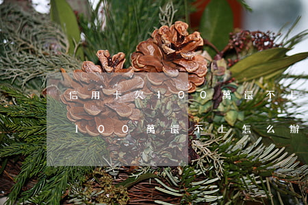 信用卡欠100萬還不上想跑路-欠信用卡100萬還不上怎么辦