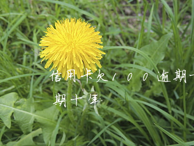 信用卡欠100逾期十年(信用卡欠100逾期十年)