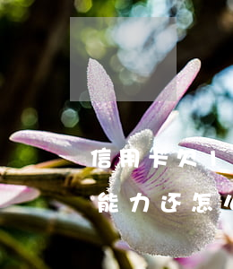 信用卡欠10万刷还-欠信用卡十万块钱没能力还怎么办