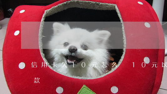信用卡欠10元怎么辦(10元以下信用卡欠款)