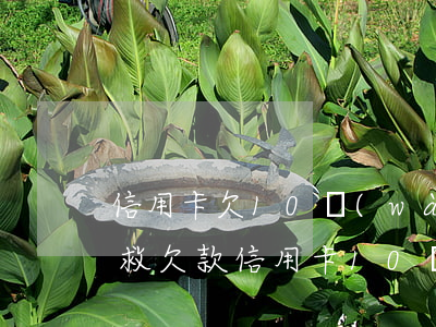 信用卡欠10萬(wàn)怎么補(bǔ)救(欠款信用卡10萬(wàn)還不起怎么辦)