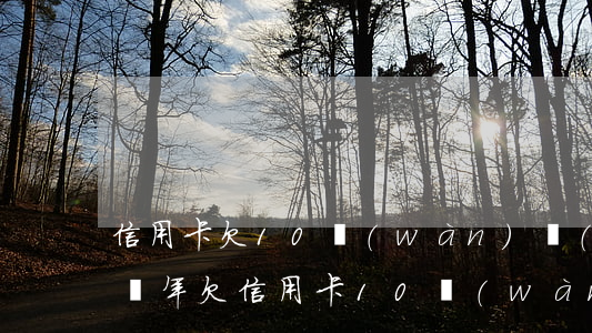 信用卡欠10萬(wàn)會(huì)判幾年 欠信用卡10萬(wàn)元不還會(huì)有什么后果