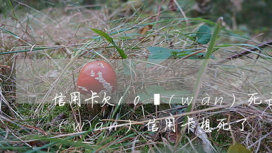 信用卡欠10萬(wàn)死亡(欠了10萬(wàn)信用卡想死了)