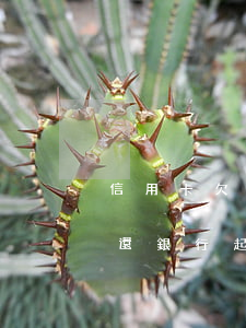 信用卡欠10萬(wàn)無(wú)力償還銀行起訴-信用卡欠10萬(wàn)無(wú)力償還銀行起訴有用嗎