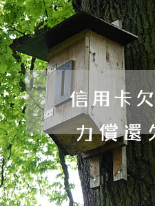 信用卡欠10萬(wàn)逾期無(wú)力償還(欠信用卡10萬(wàn)無(wú)力償還會(huì)被刑拘嗎)