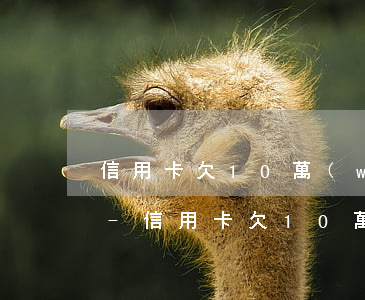 信用卡欠10萬(wàn)還不起了怎么辦-信用卡欠10萬(wàn)還不起了怎么辦呢