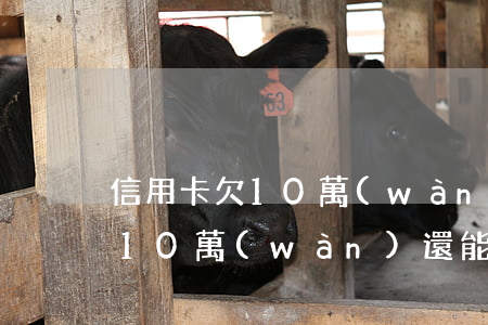 信用卡欠10萬(wàn)還能車貸嗎(欠了10萬(wàn)還能申請(qǐng)信用卡嗎)