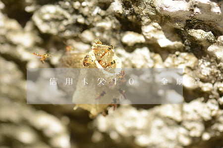 信用卡欠10萬全刷空
