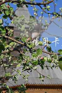 信用卡欠10萬多嗎 欠信用卡10萬會(huì)坐牢嗎