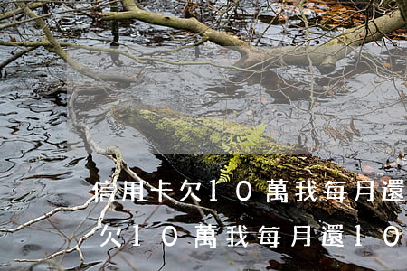 信用卡欠10萬我每月還1000-信用卡欠10萬我每月還1000需要還多久